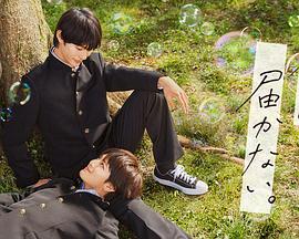 泛页面关键词4112